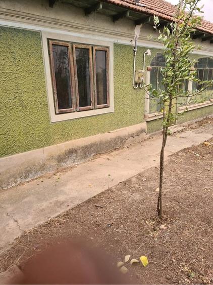 Casa de vanzare in Suhaia, jude?ul Teleorman 2.560 mp teren - 3