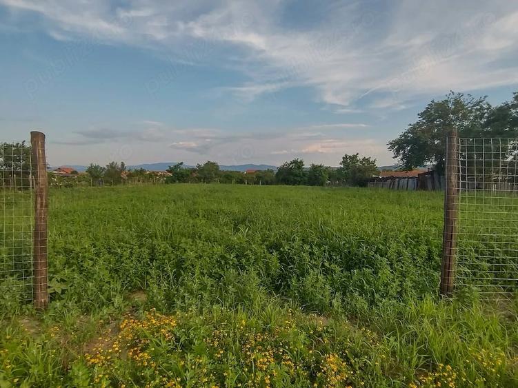 Teren de 2800 mp, în Dumbrava