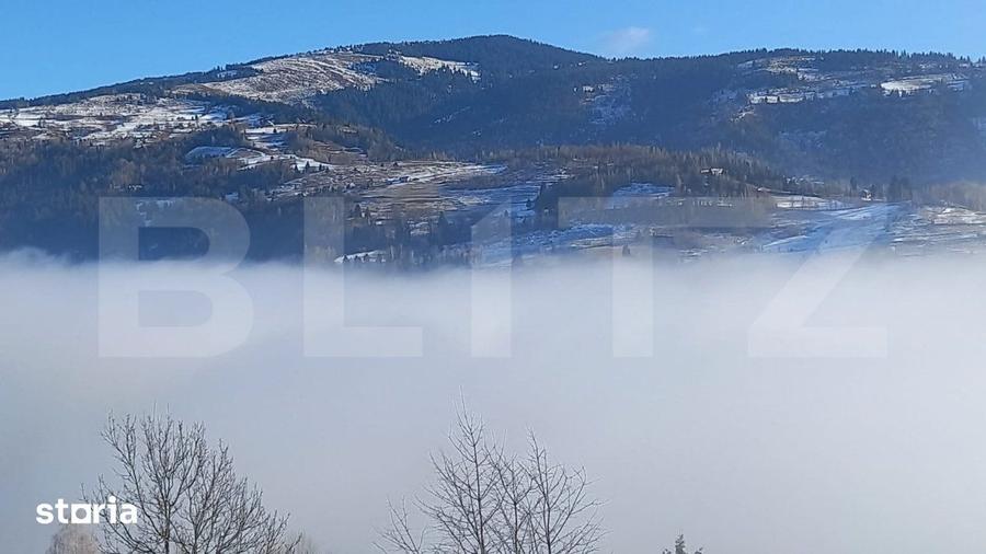 Teren de 10831 mp, în Gruia