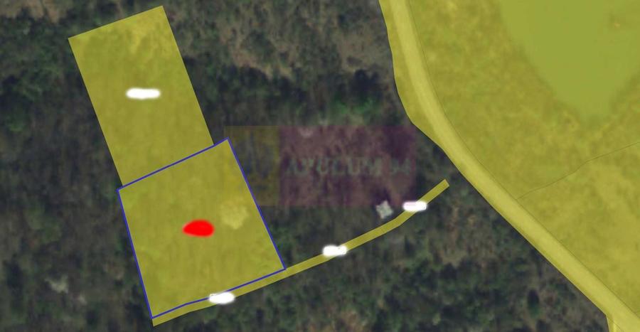 Teren agricol intravilan de 3274 mp, în Lunca Mare