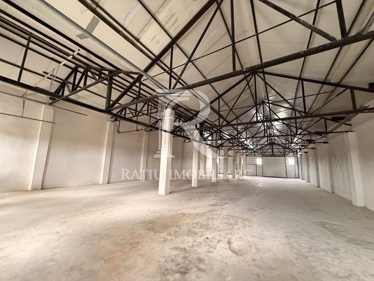 Spațiu industrial, de 540 mp, în Livada de Bihor