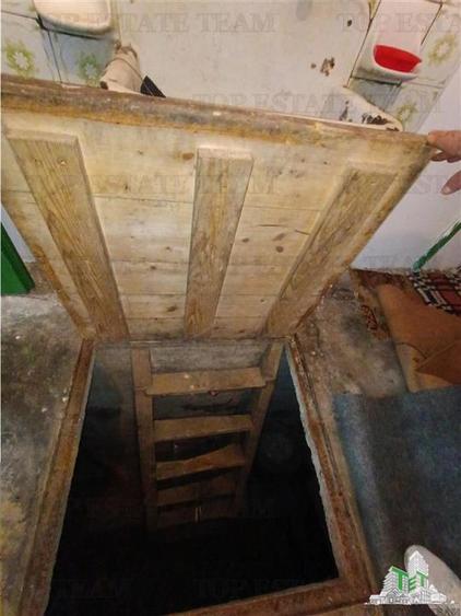Casa taraneasca traditionala pe parter cu gradina si livada 1700mp in Gruiu, la - 18