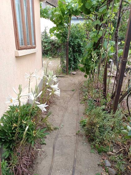 Casă cu 3 camere în Cosmești