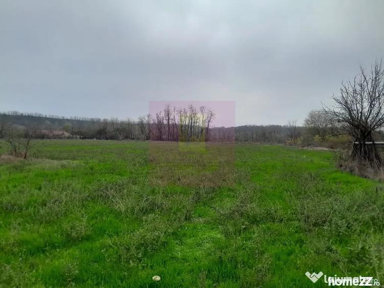 Casă cu 3 camere cu Teren 15000 Mp în Bărcănești