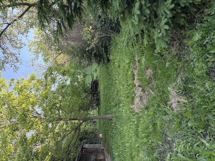 Casă cu 2 camere cu Teren 1640 Mp în Central