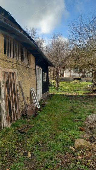 Casa la tara - 1