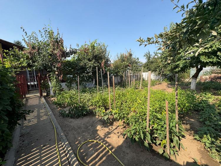 Casă individuală cu 5 camere cu Canalizare în Ciorogârla