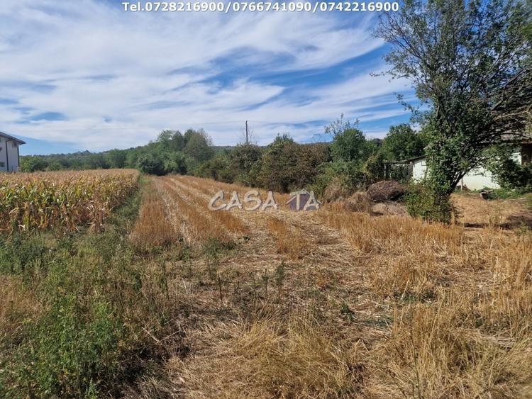 Teren Construcții intravilan de 2309 mp, în Cartiu