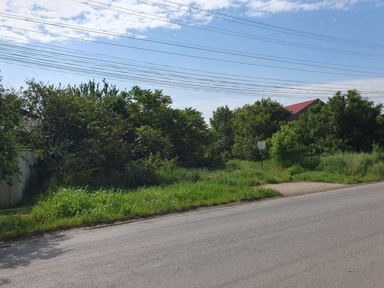 Teren intravilan Sabareni langa Bucuresti 4500 mp sau schimb - 7