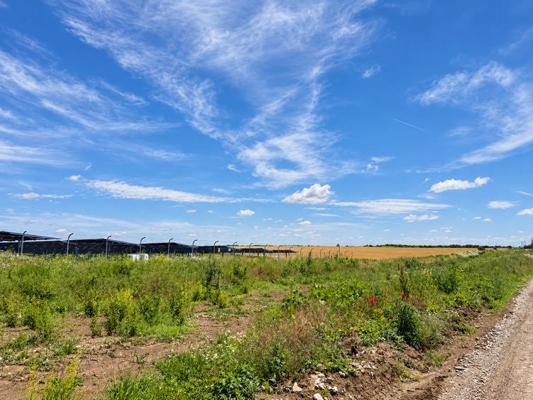 Teren agricol extravilan de 90000 mp, în Iepurești