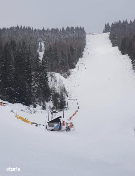 Teren de 280000 mp, în Iacobeni