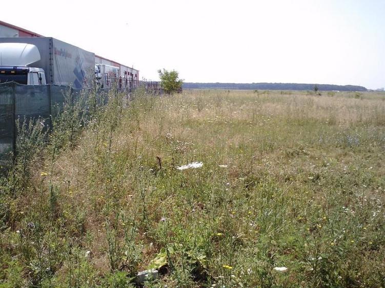 Teren DN Centura Stradal Sos Odai 2975 mp - 3