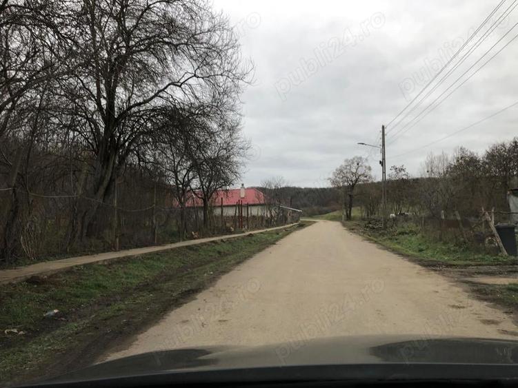 Teren de 3478 mp, în Viișoara