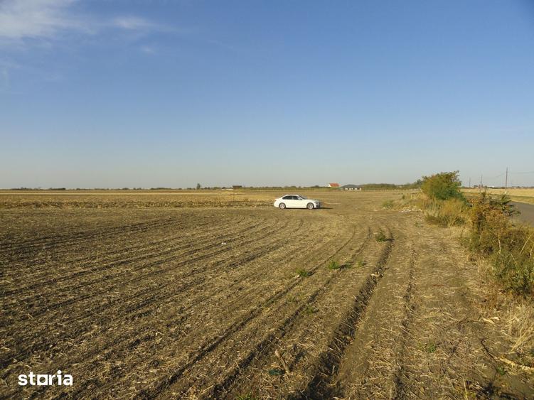 Teren de 53500 mp, în Șofronea