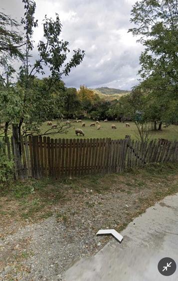 Spațiu comercial, în Costeni