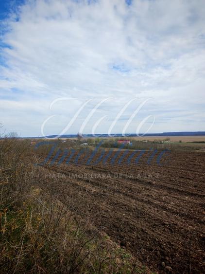 Teren agricol intravilan de 3700 mp, în Vest