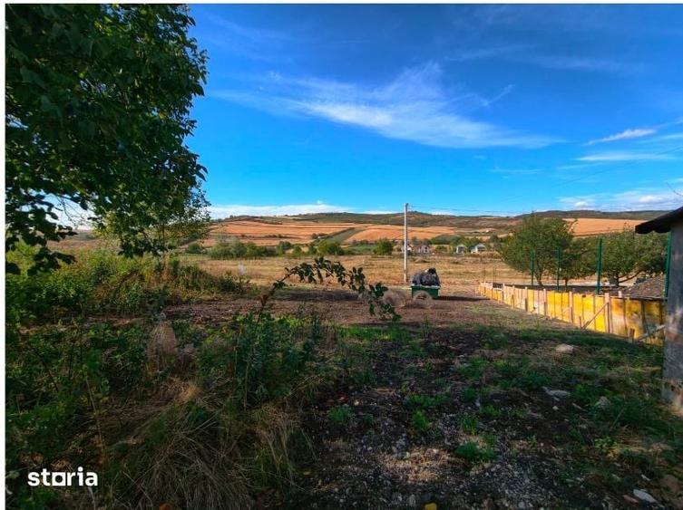 Teren Intravilan, 1030 mp, Zona Hamba-Sura Mare - 5