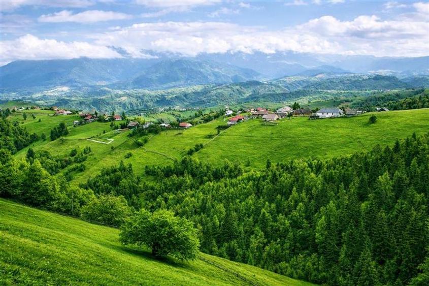 Teren Construcții intravilan de 6966 mp, în Bran