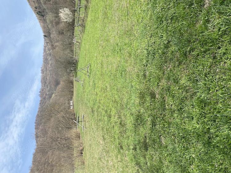 Teren de 2777 mp, în Lunca