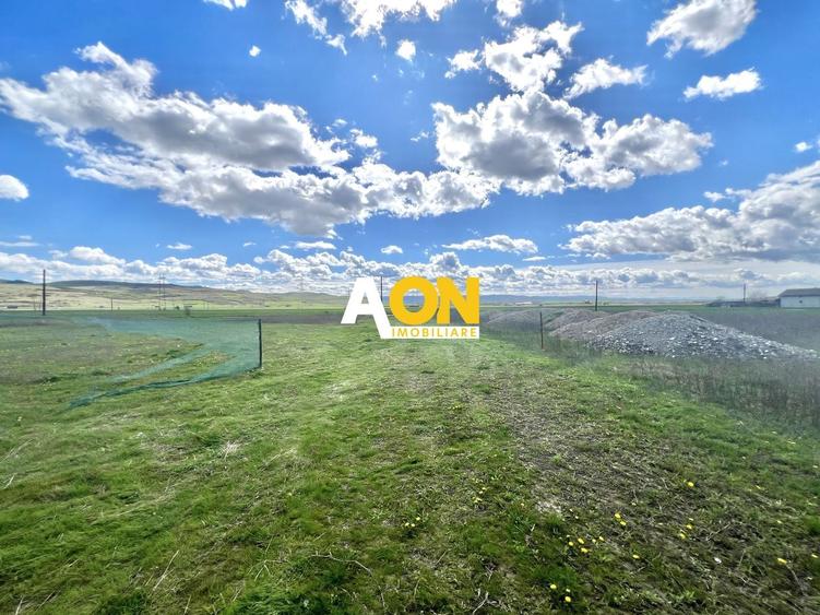 Teren Construcții intravilan de 560 mp, în Oarda