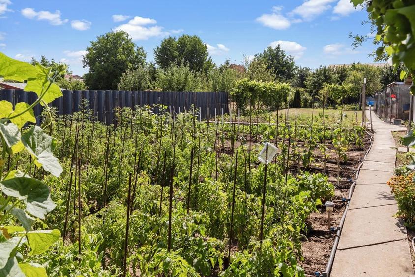 Casă individuală cu 2 camere cu Teren 1246 Mp în Berceni