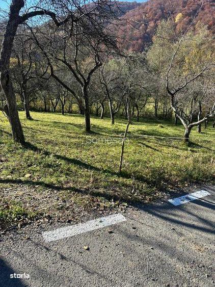 Vand teren extravilan in comuna cosbuc