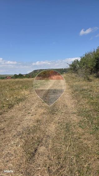 Teren intravilan de vanzare 843 mp Chinteni - 4