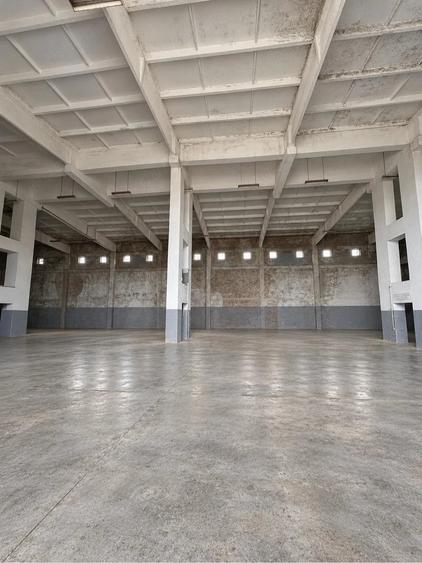 Spațiu comercial, de 7,000 mp, în Bolotești