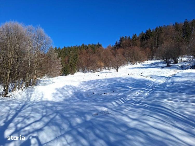 Teren de 8700 mp, în Tărlungeni
