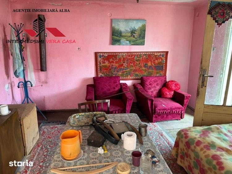 Casa si anexe cu un teren de 7701 mp de vanzare in Stauini Jud Alba - 9
