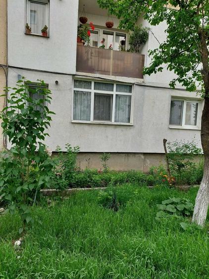 apart 2 cam, de vanzare str Stejarului - 8
