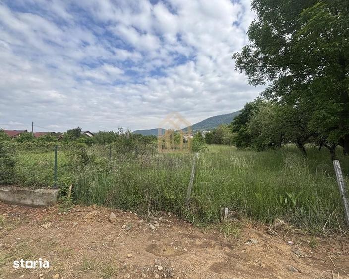 Teren de 3700 mp, în Valea Borcutului