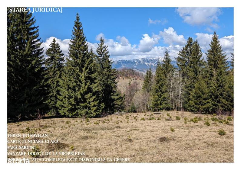 Teren de 4000 mp, în Fundata