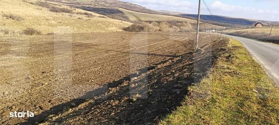 Teren intravilan 12.656 mp cu deschidere mare la drum oportunitate - 4