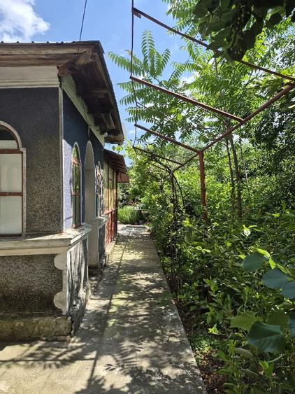 Teren de 3000 mp, în Amzacea