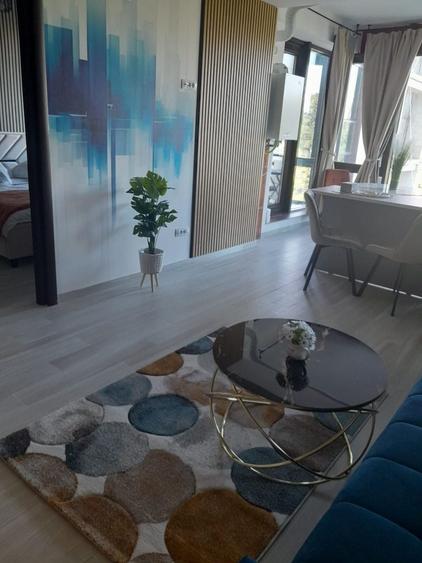 Apartament cu 2 camere semidecomandat în Liteni