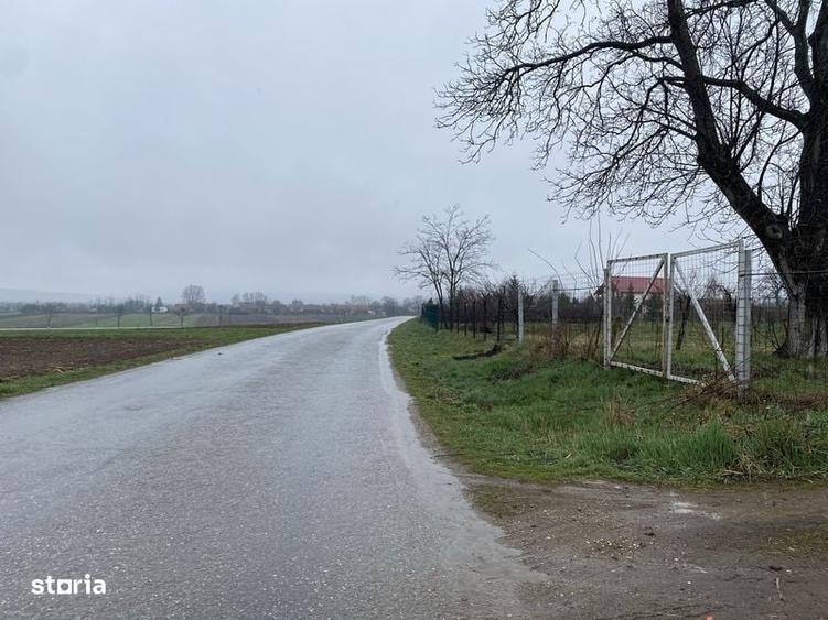Teren de 1203 mp, în Comana