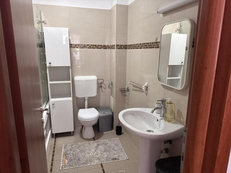 Apartament 2 Camere, complet utilat si dotat, parcare subterana, etaj 1, gaze, 5 minute metrou Nicolae Grigorescu , 8 min parc Titan, IOR, A I Cuza - 6