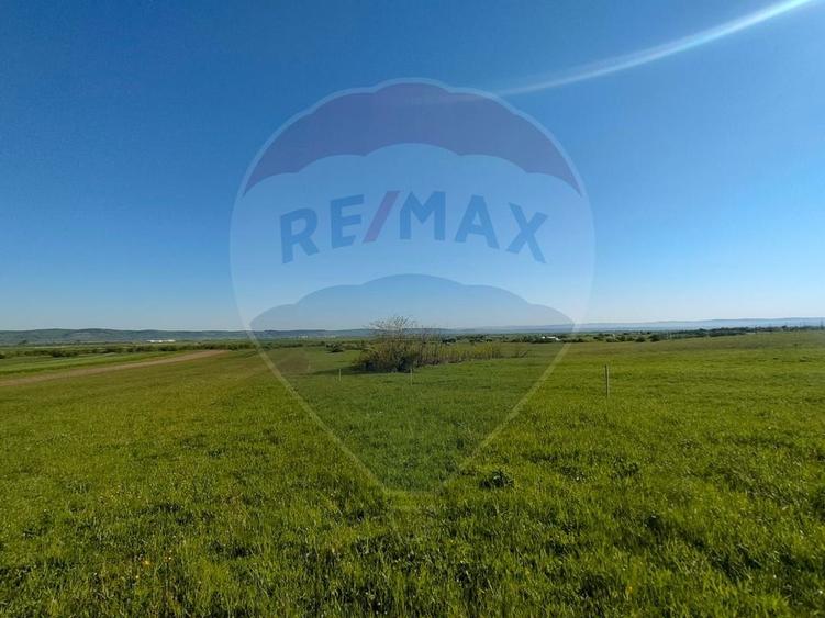 Teren agricol extravilan de 1668 mp, în Gura Râului