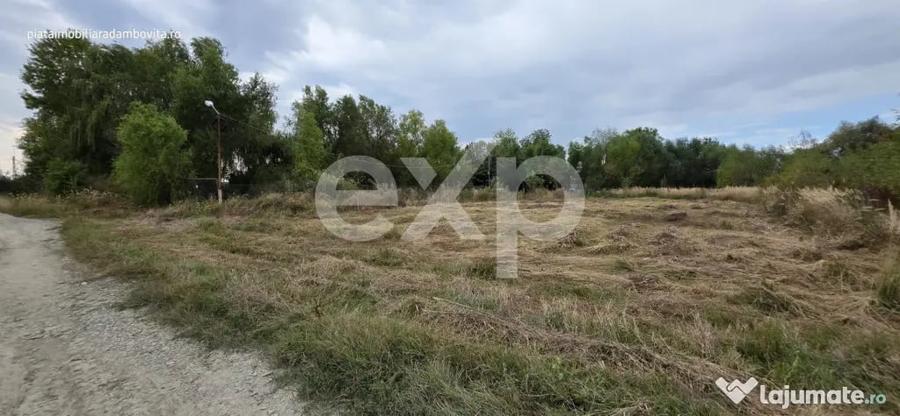 Teren intravilan 1.589 mp in Priseaca Langa Complex D - Priseaca (Dambovita) - 1