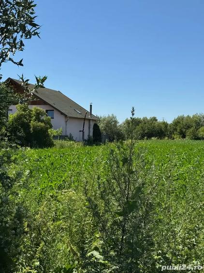 Teren de 2000 mp, în Hălchiu