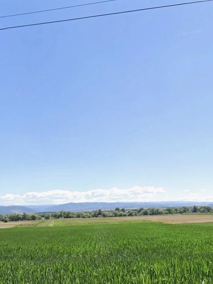 Teren de 2100 mp, în Vurpăr