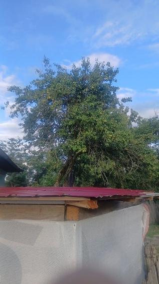 Casă cu 3 camere în Vedea