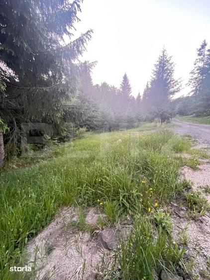 Teren intravilan parcelabil de vanzare Colibita - 5