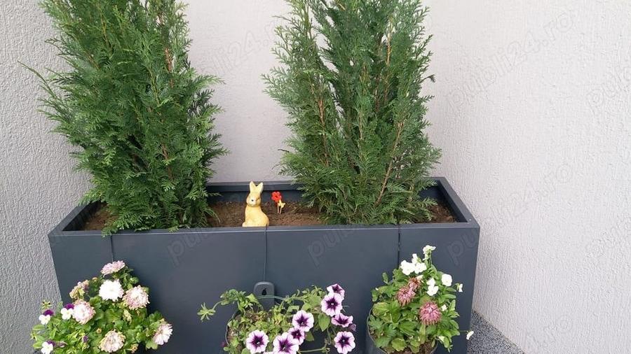 Casă cu 2 camere cu Teren 40 Mp în Pantelimon