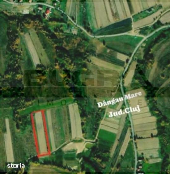 Teren extravilan, 4265 mp, zona Dangau Mare - 3