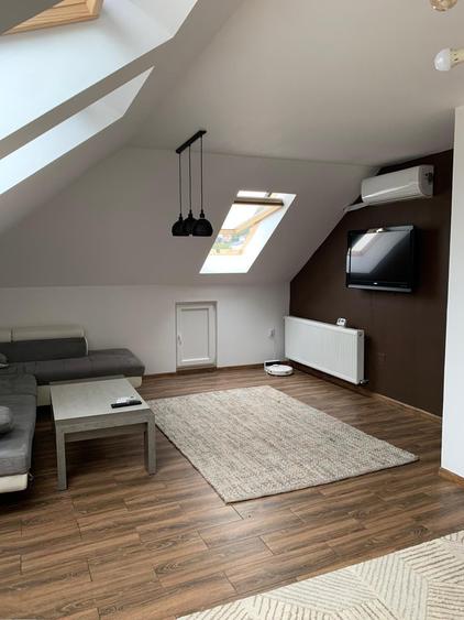Inchiriez apartament pet friendly - 2