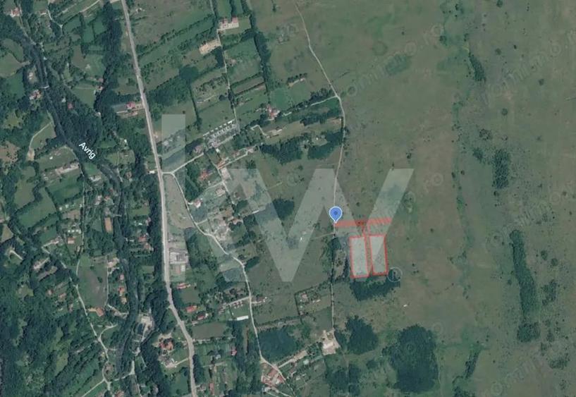 Teren extravilan de vanzare - Valea Avrigului, Sibiu - 10