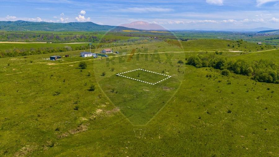 Teren Construcții intravilan de 500 mp, în Dumbrăvița