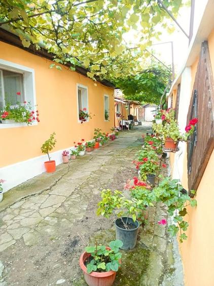 Casă cu 3 camere în Sânmartin
